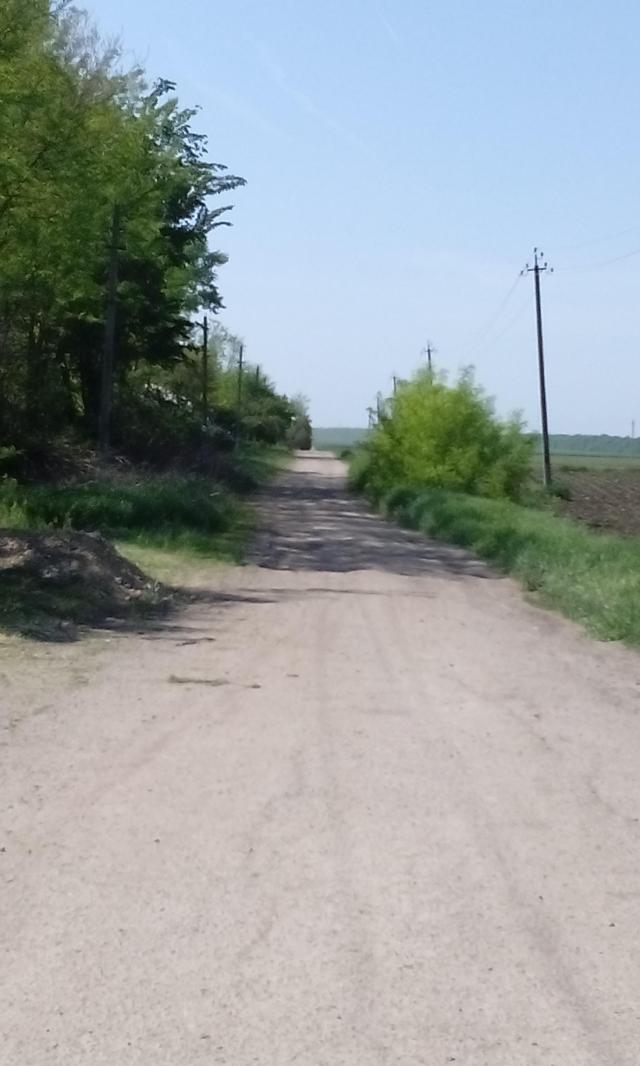 foto 2018 06 05 10 182